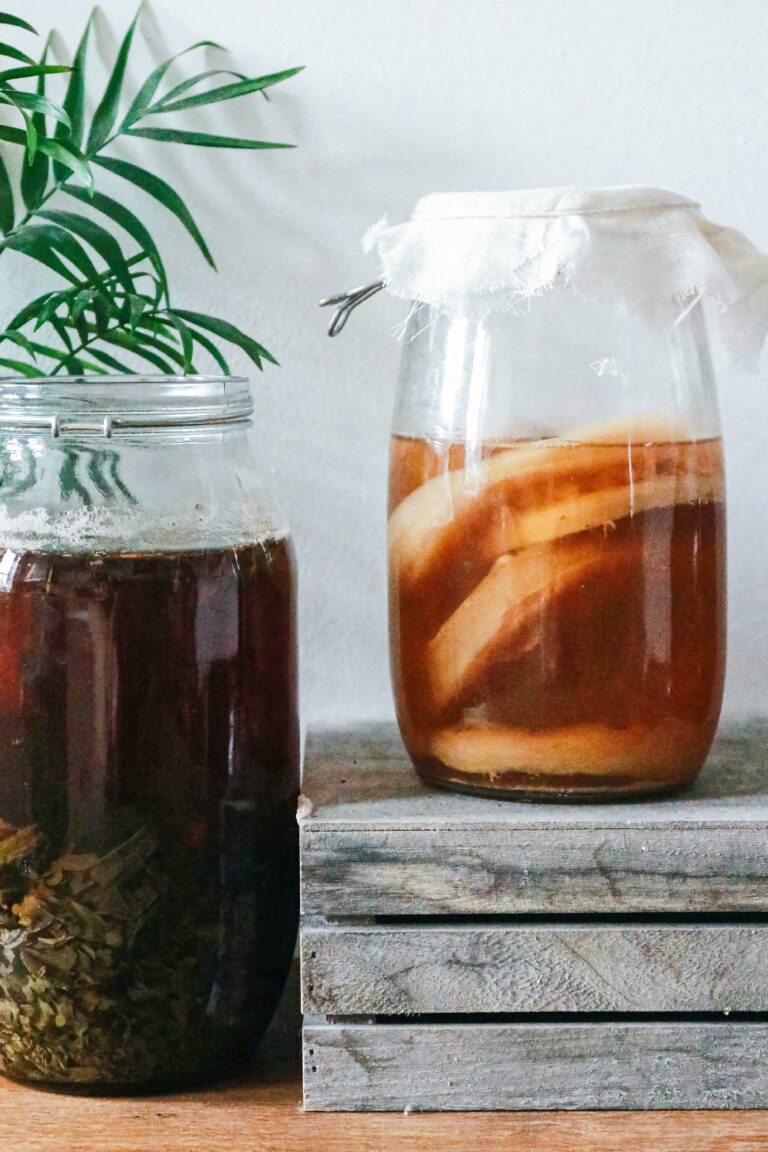 Cómo hacer kombucha